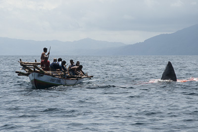 Aboriginal whalers
